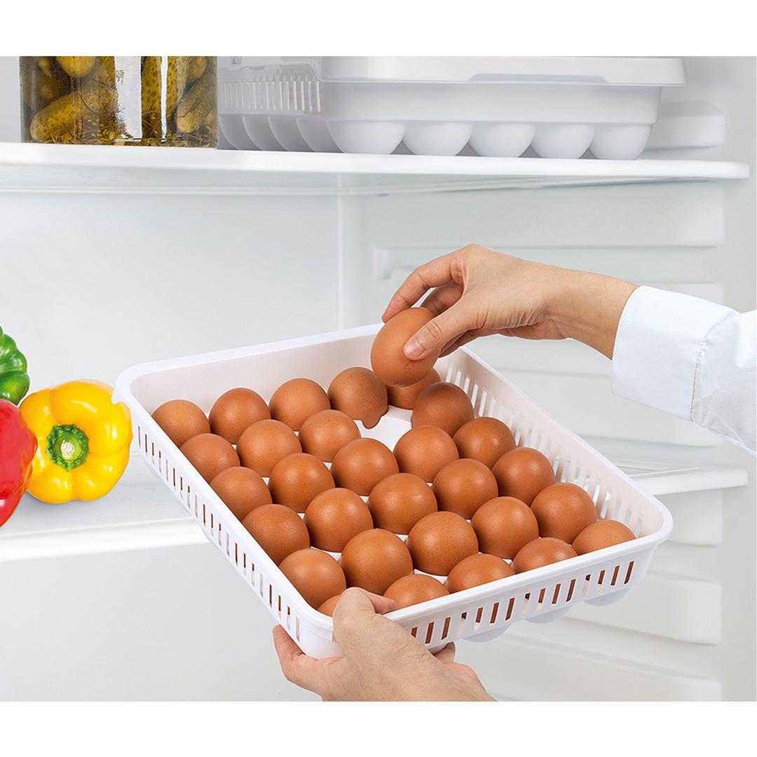 حافظة بيض 30 خانة بغطاء شفاف هوبي لايف  021053