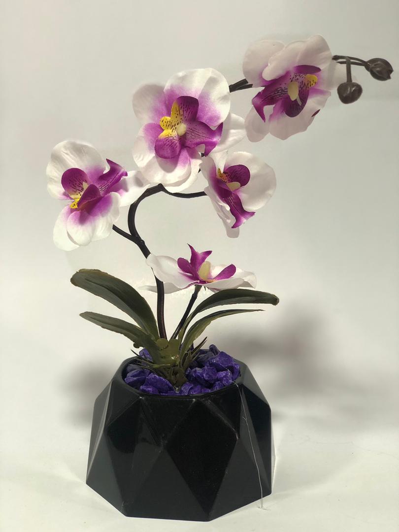 تحفة ورود قاعدة سداسي  EVA-5681