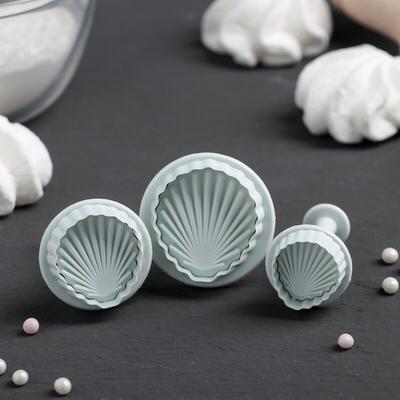 طباعات شكل صدف 3 قطع  ZN2146